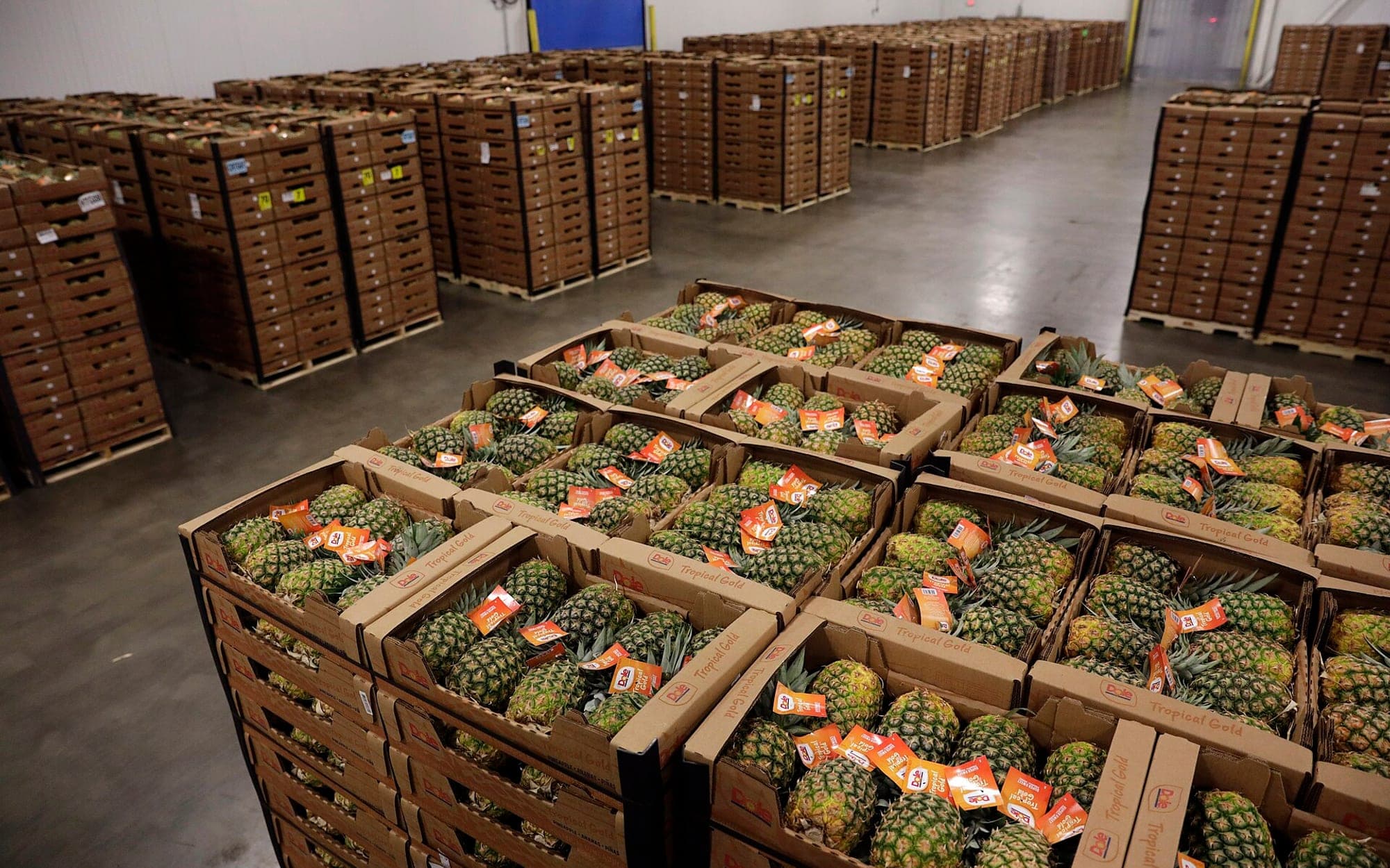 Stacked crates of produce held in storage