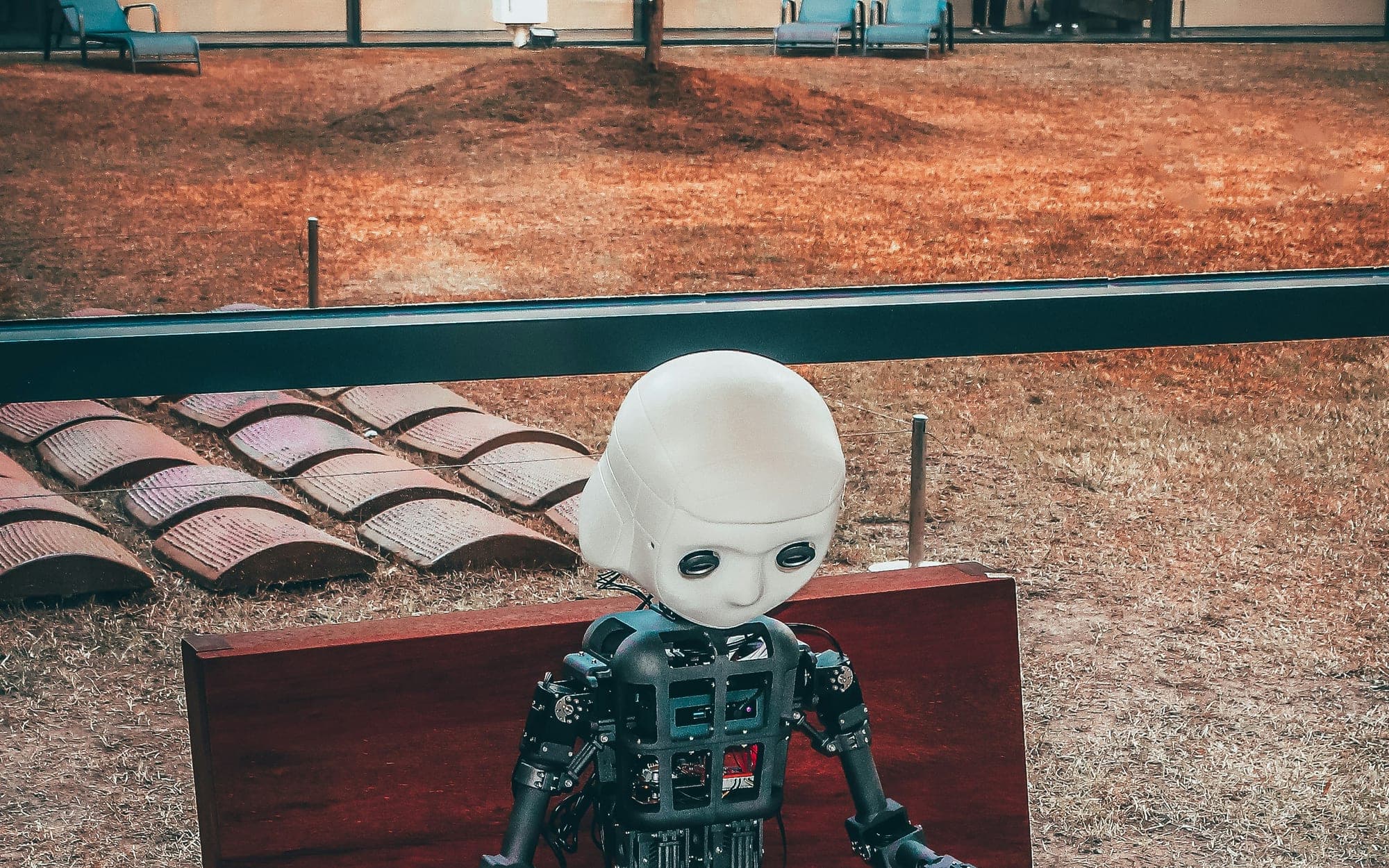 A small humanoid robot seated on a bench