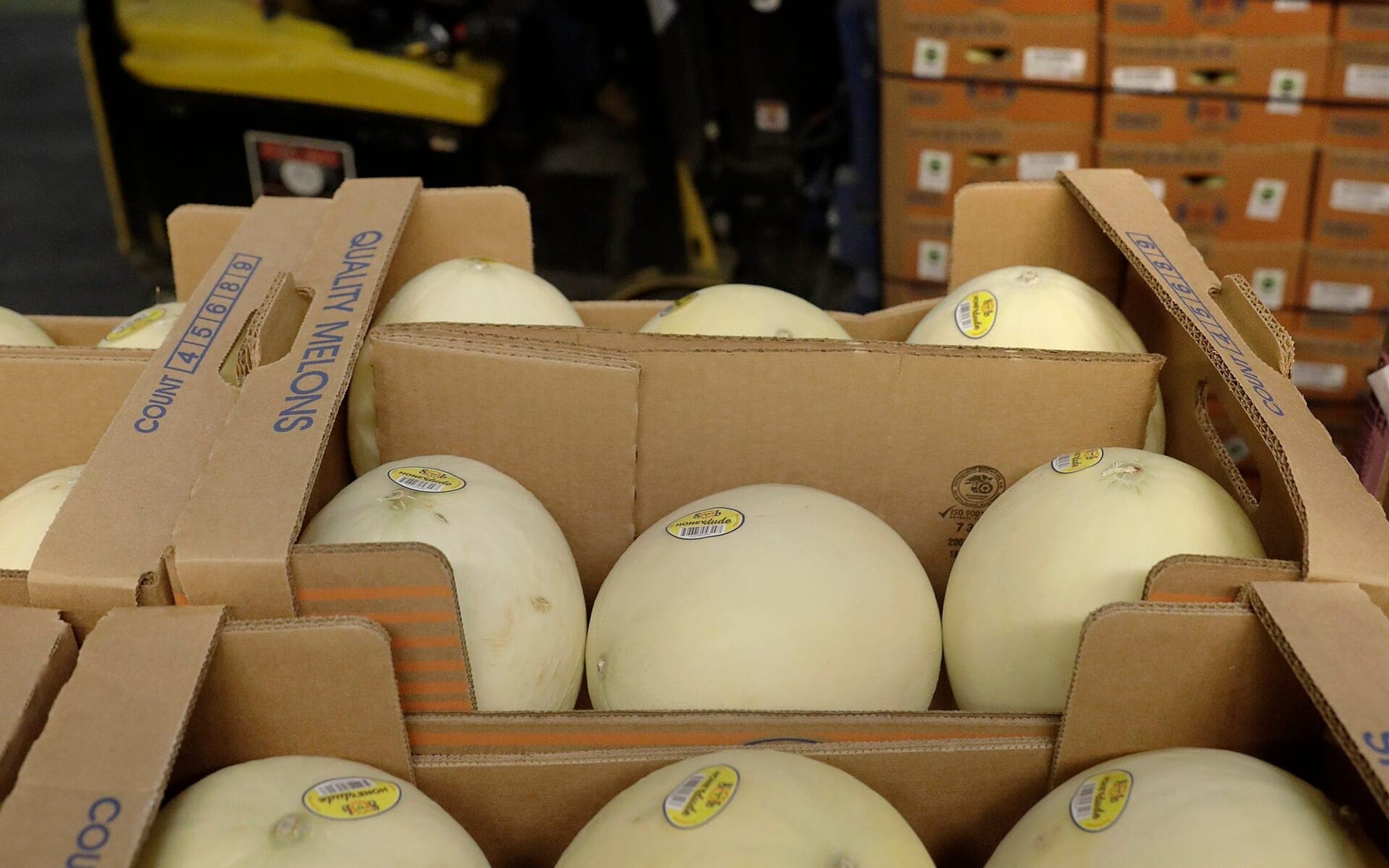Produce being packed into boxes for dispatch